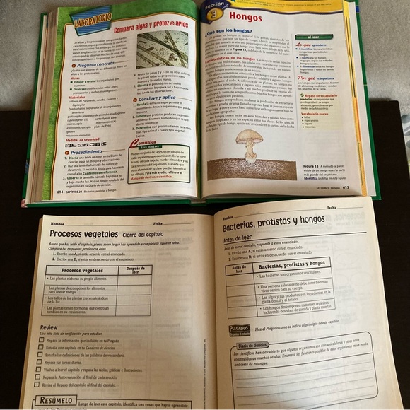 STEM Plan de estudios - Picture 8 of 16